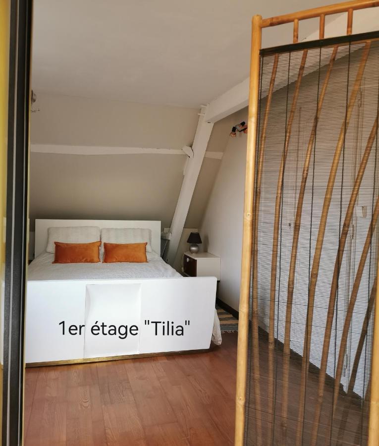 Bed and Breakfast La Coticia Coutiches Экстерьер фото
